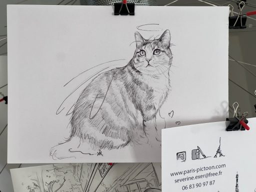 Esquisse nostalgique d'un amour de chat nous ayant quitté trop tôt